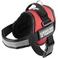 service_dog_in_training_harness