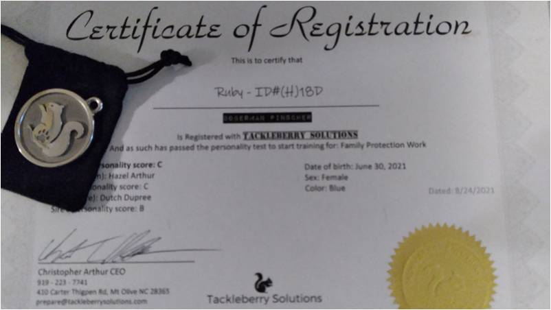 tackleberry_solutions_certificate_of_Registration