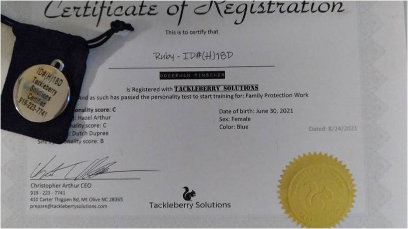 tackleberry_solutions_certificate_of_Registration_back_tag