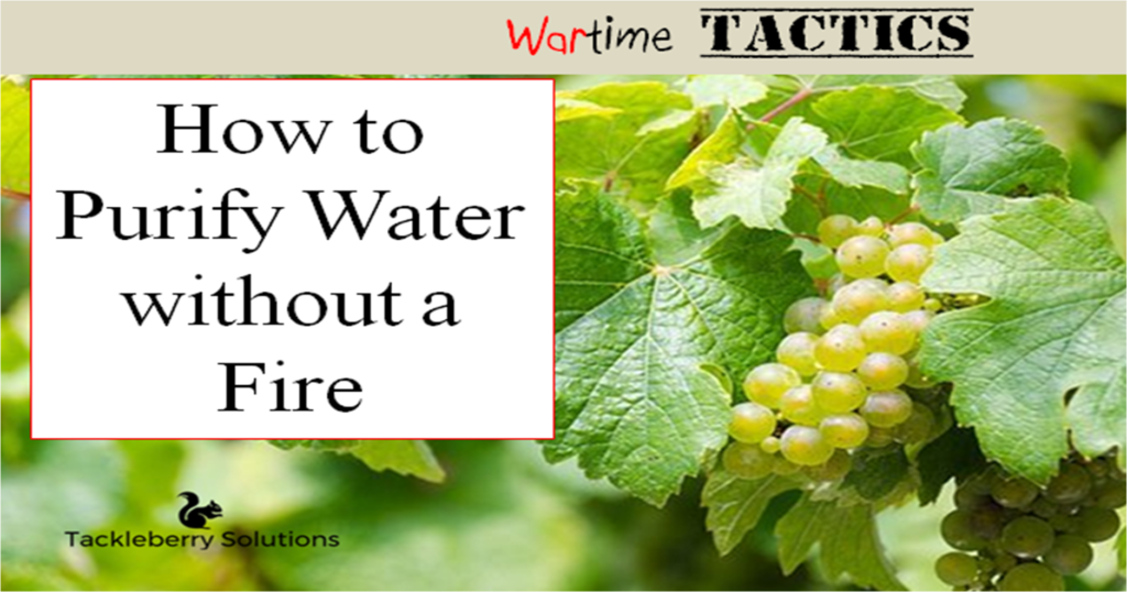 3 ways to purify water with no equipment and no fire