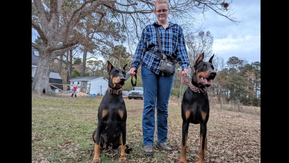 Why_pd_Dobermans_perform_best_in_pairs