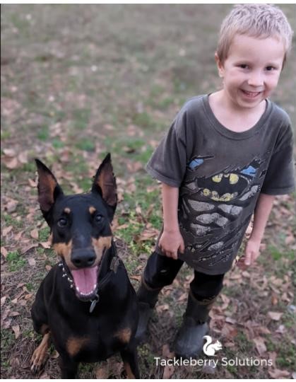 Patricia_Purebred_Doberman_Pinscher_protection_search_and_rescue_emotional_therapy17
