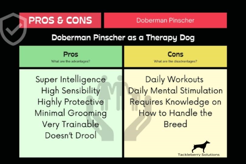 Therapy_dog_breeds_3