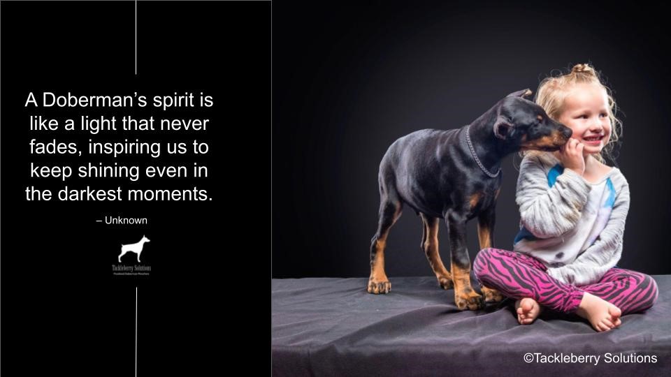 doberman-quotes-about-love