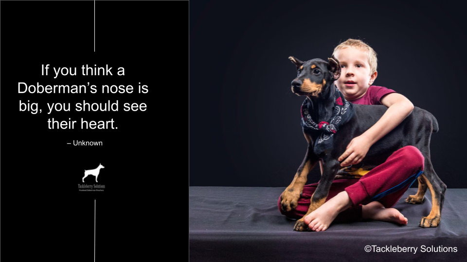 doberman-quotes-about-love