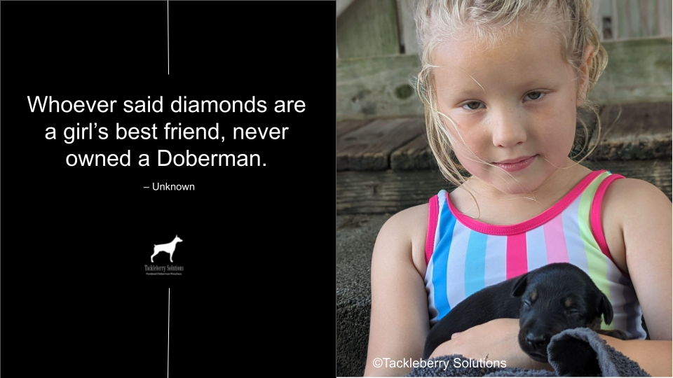 doberman-quotes-about-love