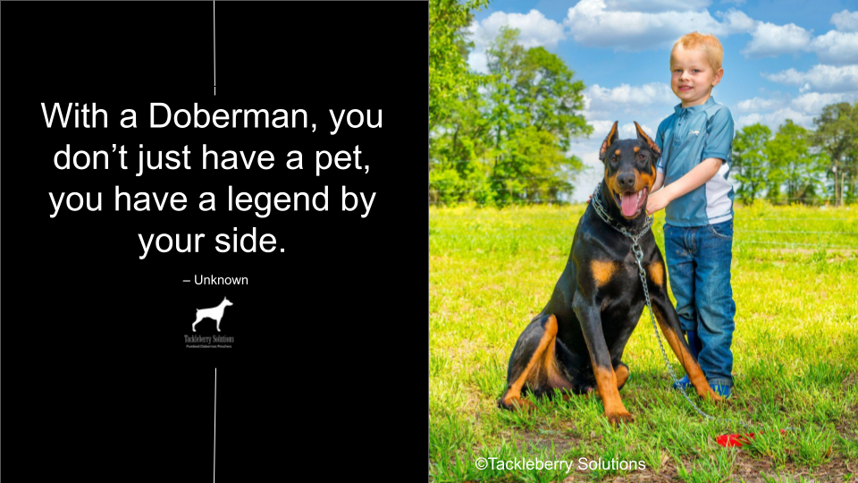 doberman-quotes-about-love