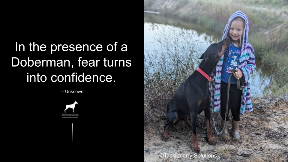 doberman-quotes-about-love