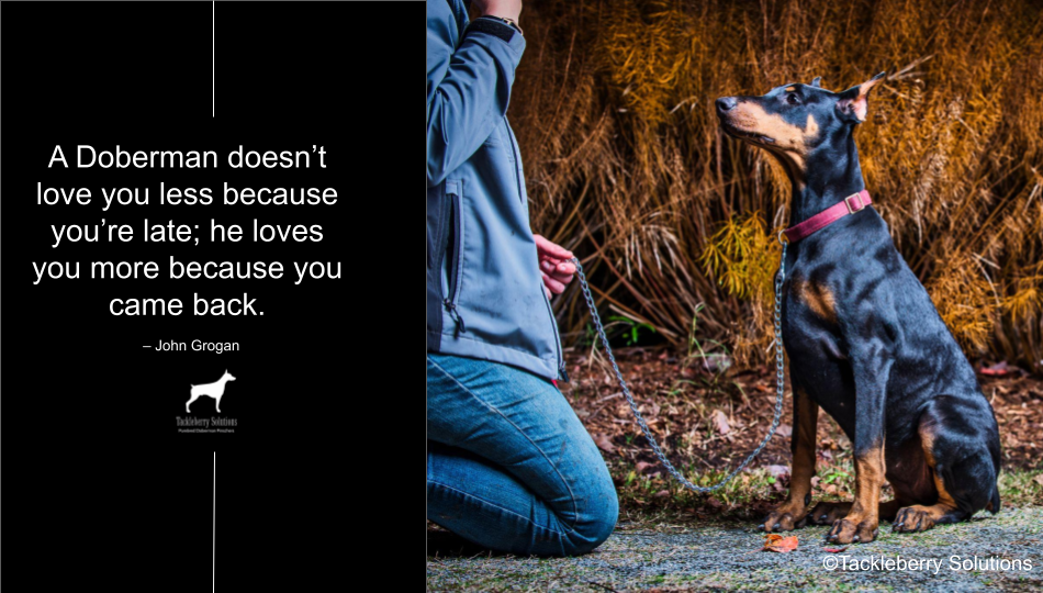 doberman-quotes-about-love