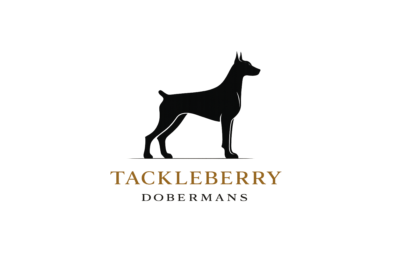 standard-logo-no-background-tackleberry-dobermans