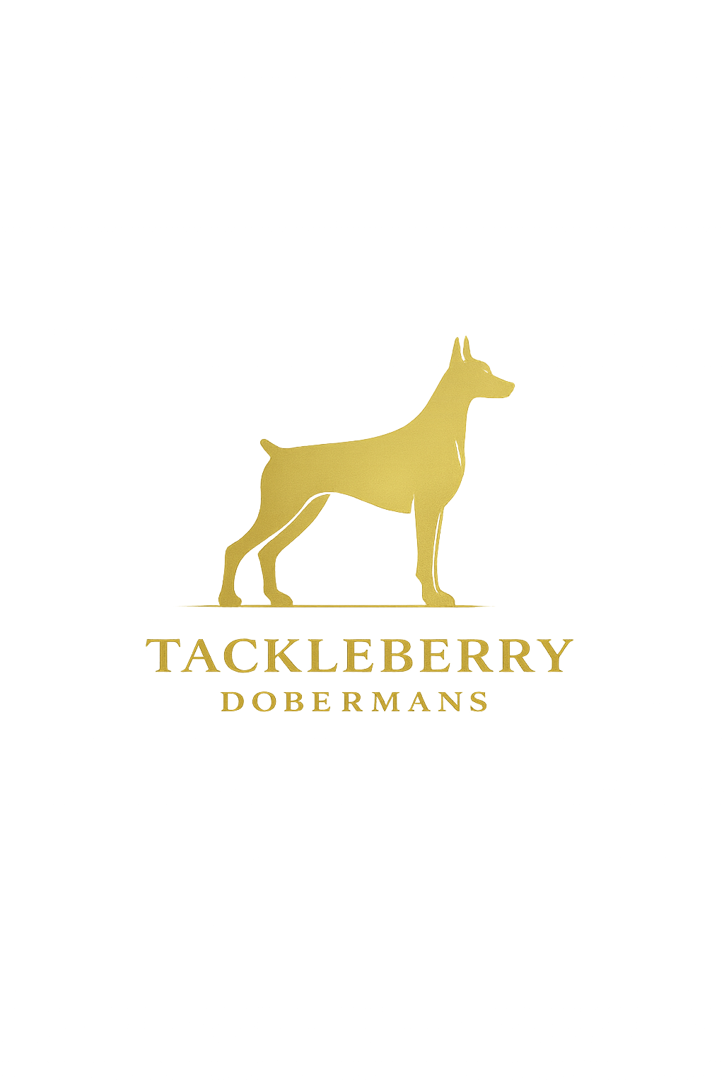 tackleberry-dobermans-watermark